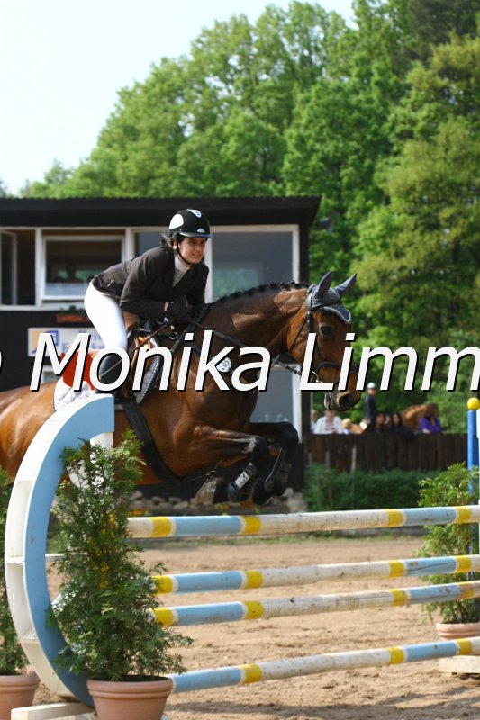 104M6895_Palma-U_Stil L.JPG